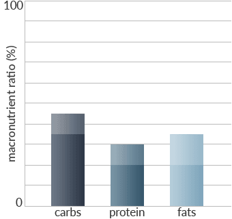 Roman Lower Macros - Health and Fitness History