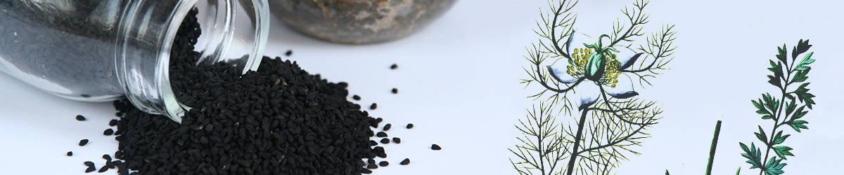 Best Black Seed Oil Guide